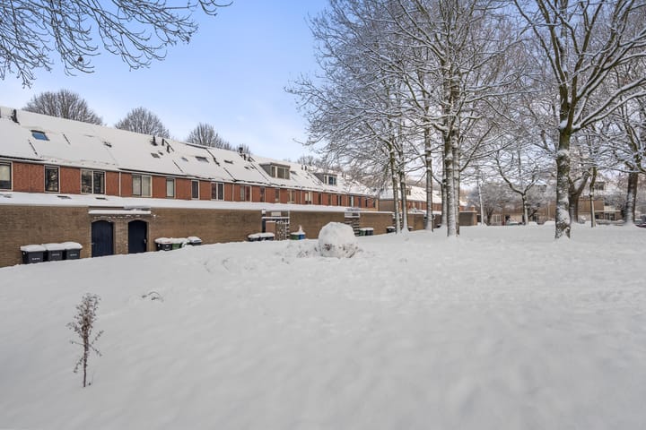 Foto 42 van Trombonestraat 8