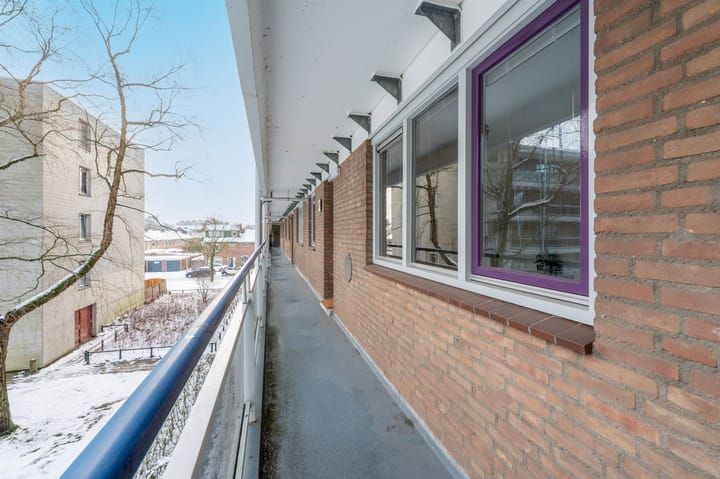 Foto 21 van Zangvogelweg 301