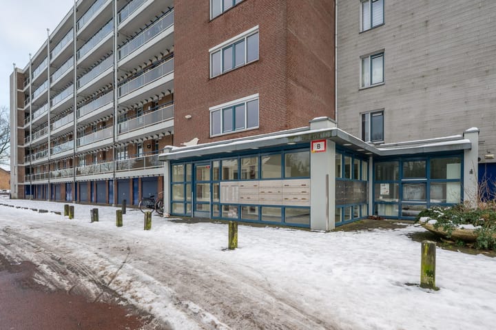 Foto 23 van Zangvogelweg 301