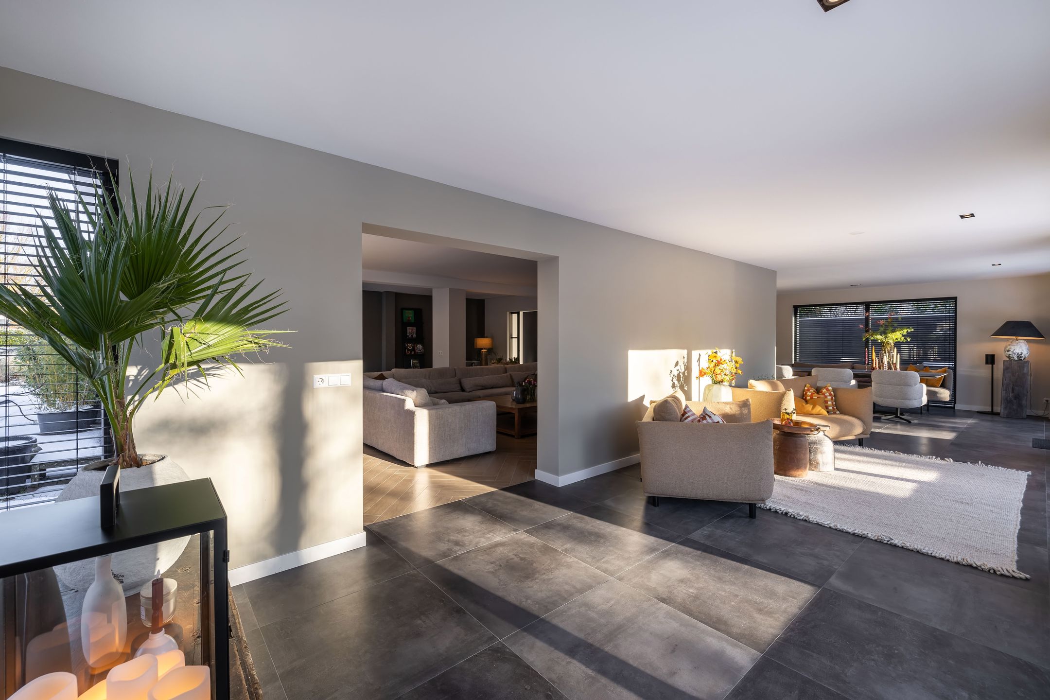 Foto 6 van Rietgans 5