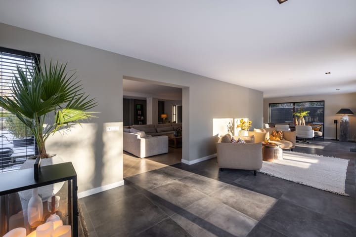 Foto 5 van Rietgans 5