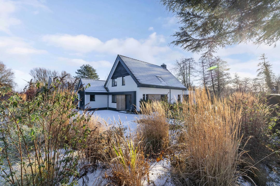 Foto 7 van Rietgans 5