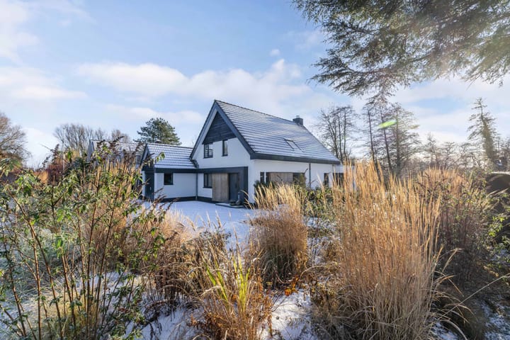 Foto 6 van Rietgans 5