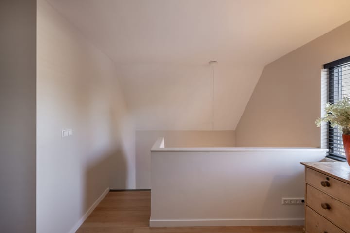 Foto 29 van Rietgans 5