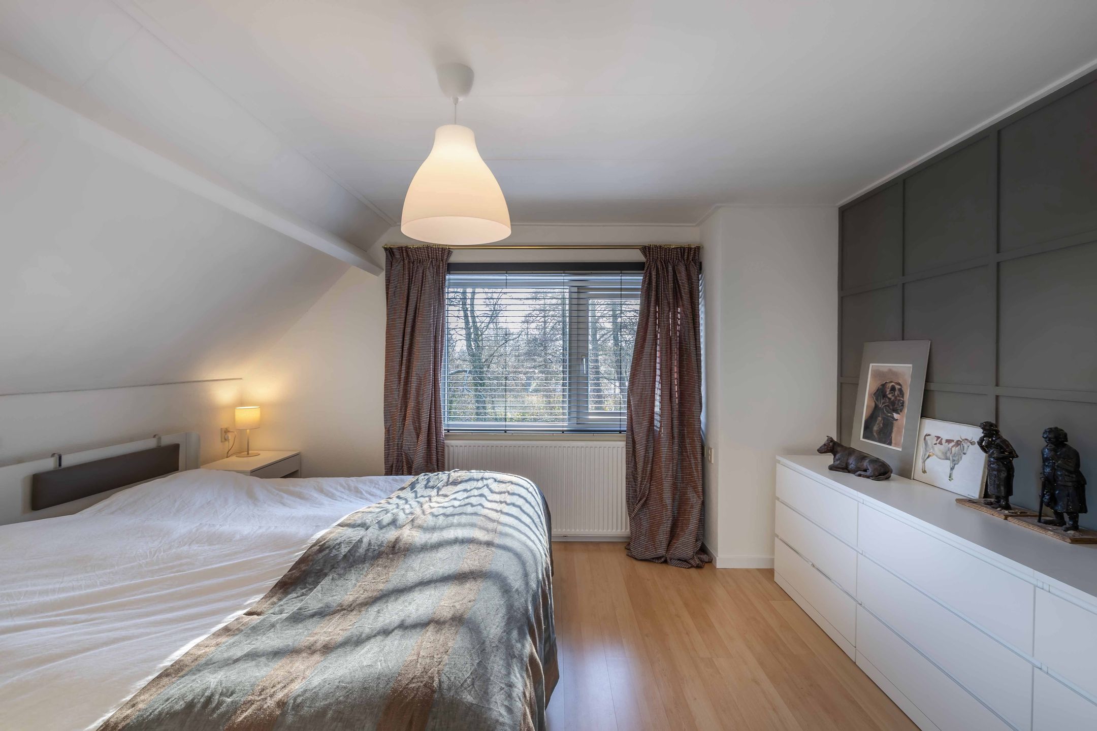 Foto 33 van Rietgans 5