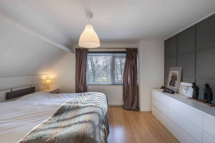 Foto 32 van Rietgans 5