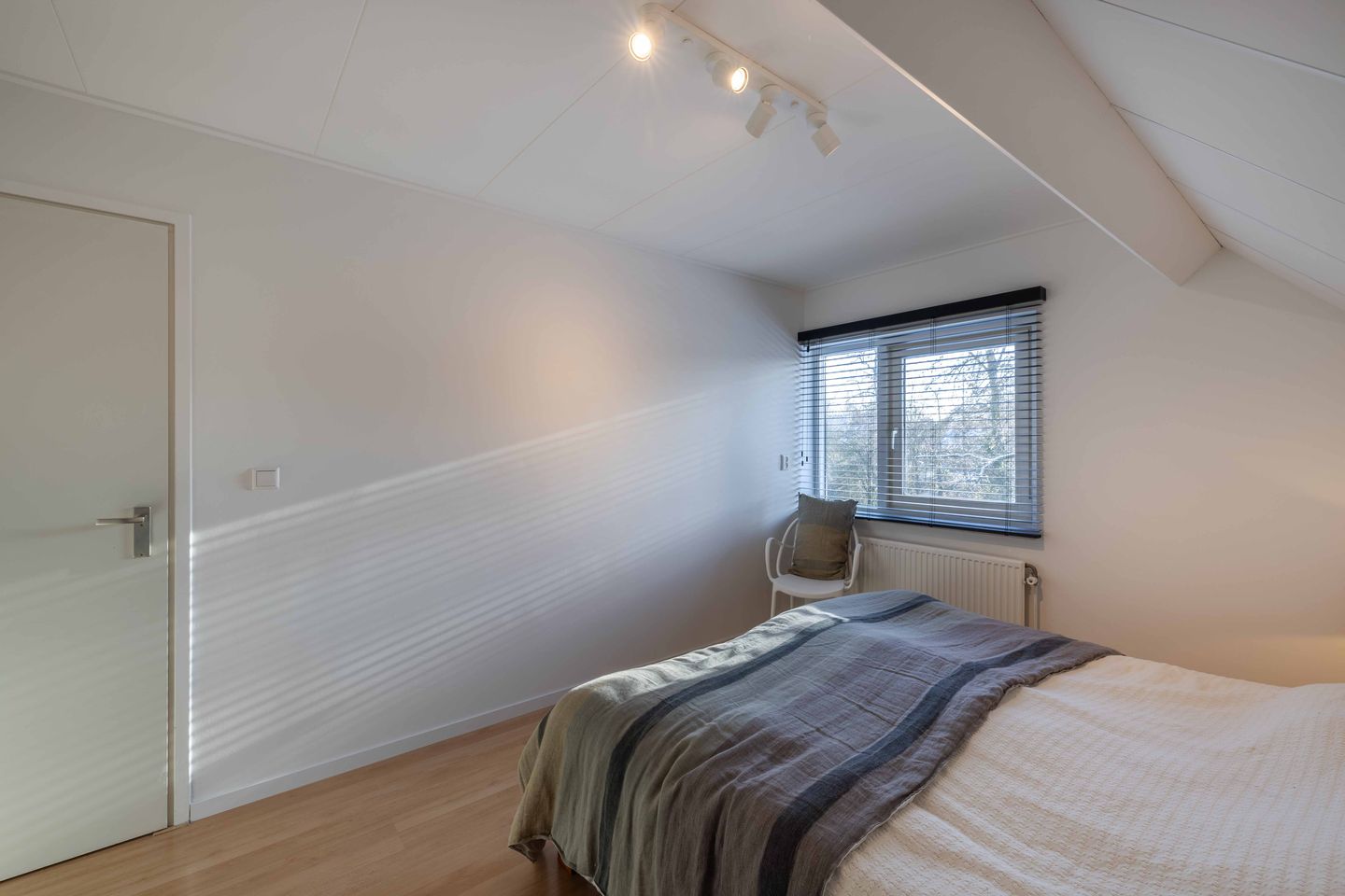 Foto 34 van Rietgans 5