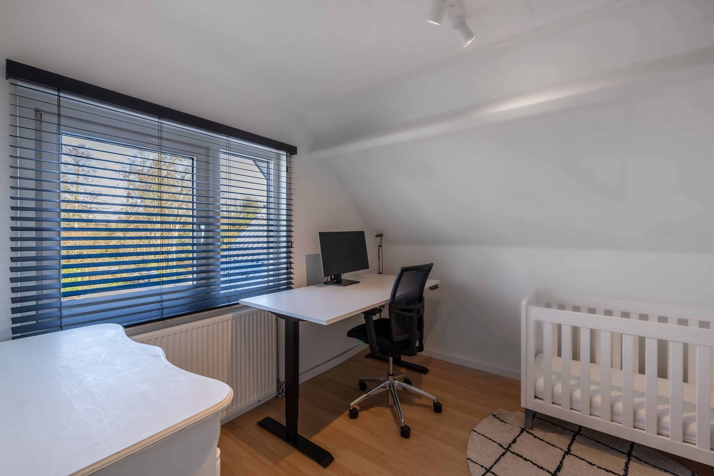 Foto 40 van Rietgans 5