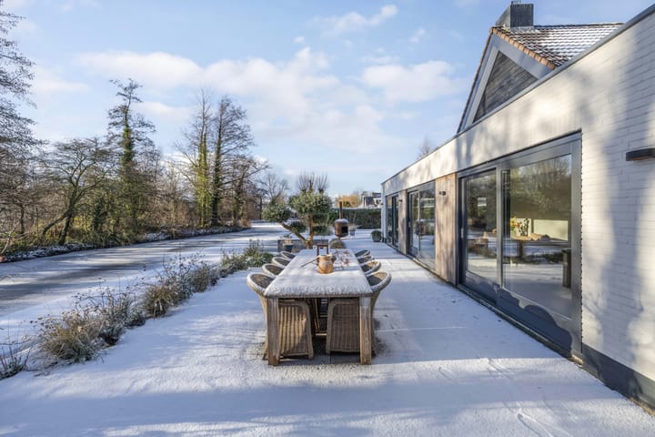 Foto 45 van Rietgans 5