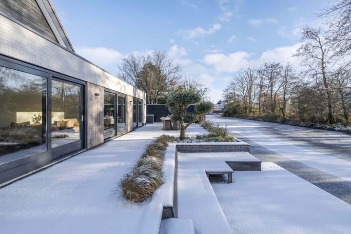 Foto 46 van Rietgans 5