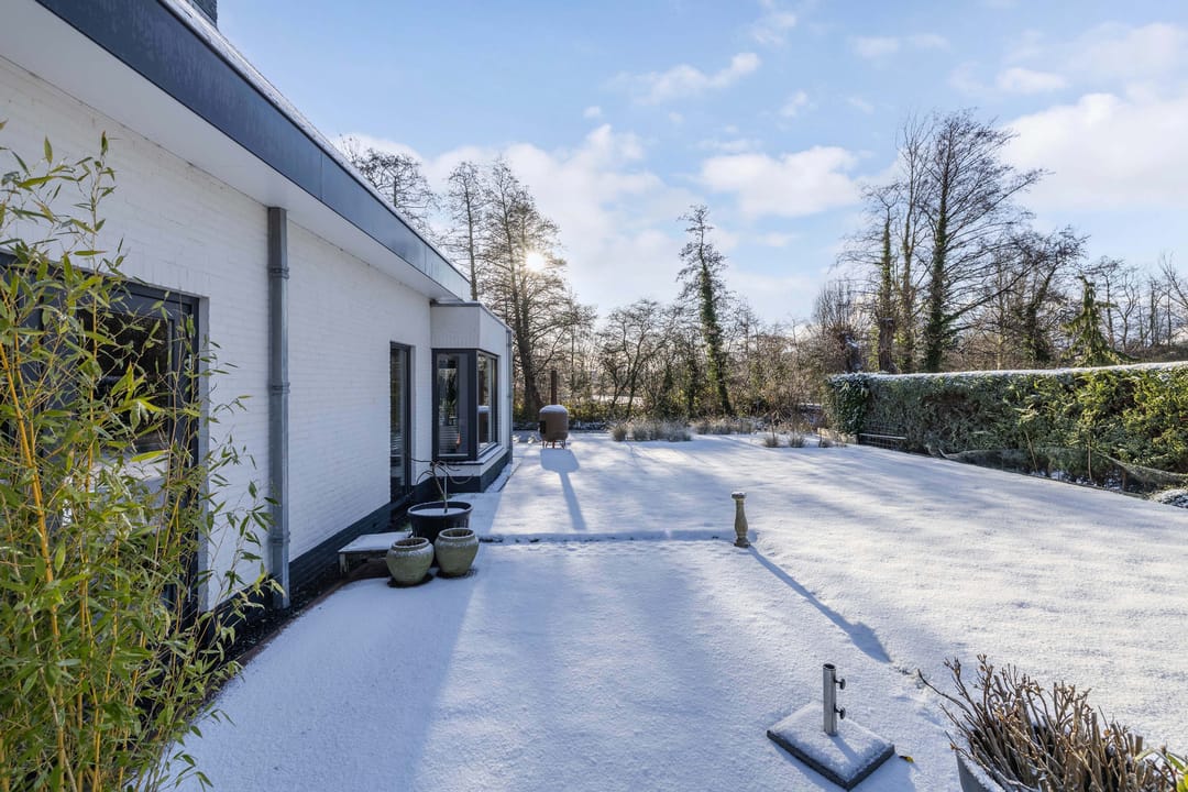 Foto 47 van Rietgans 5