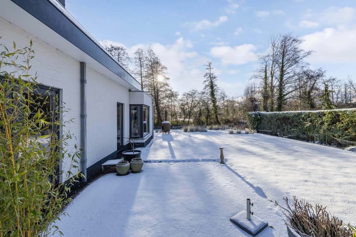 Foto 47 van Rietgans 5