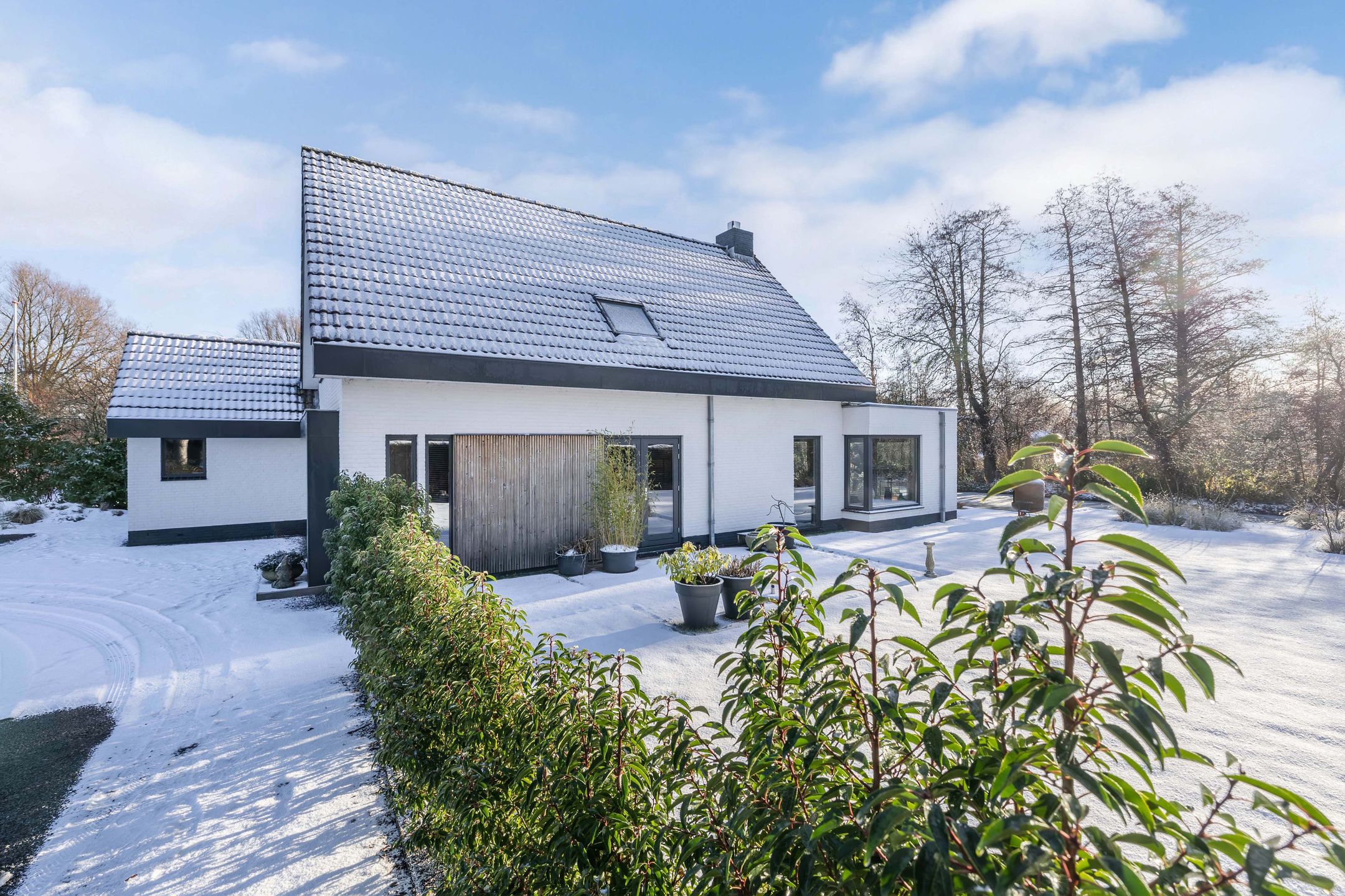 Foto 48 van Rietgans 5