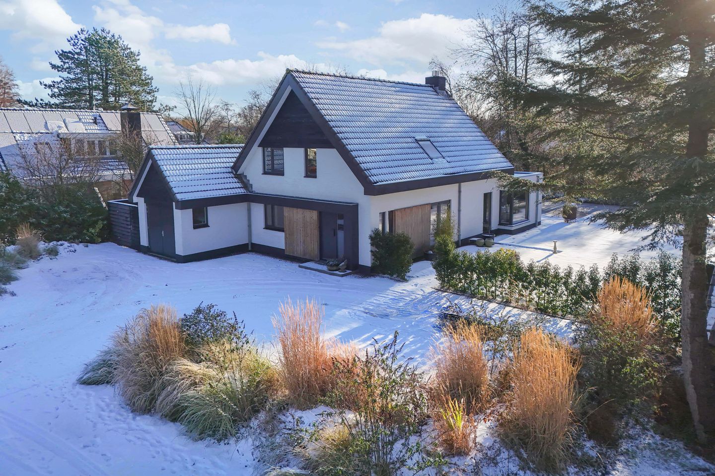 Foto 49 van Rietgans 5