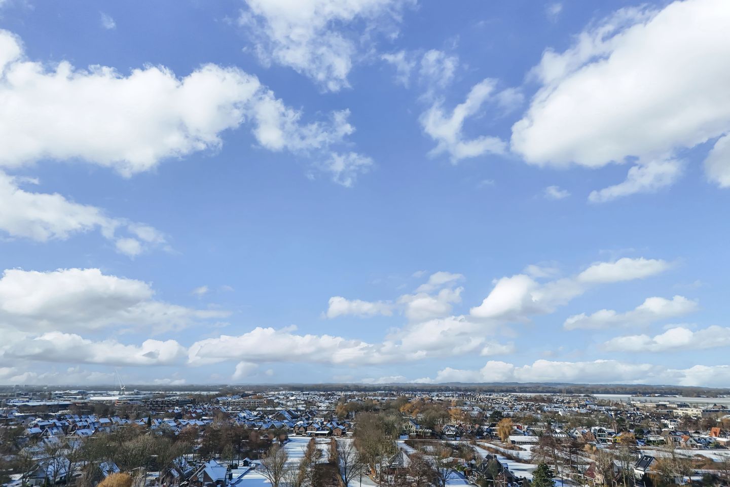 Foto 50 van Rietgans 5