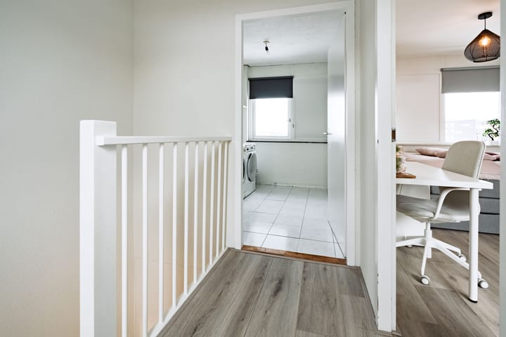 Photo 16 of Pieter de Hooghhage 3