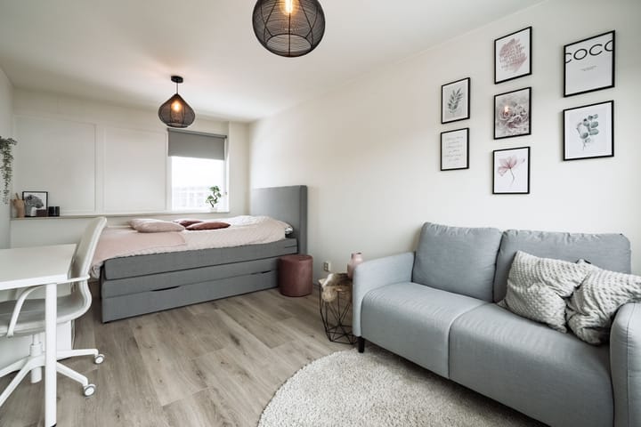 Photo 17 of Pieter de Hooghhage 3