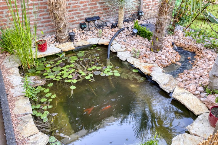 Foto 21 van Koekoekstraat 13