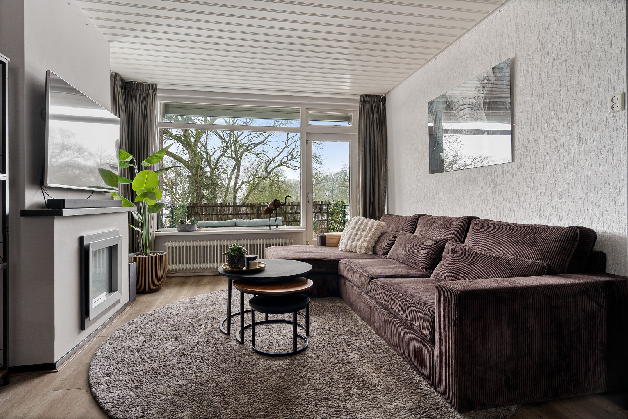 Photo 12 of Vogelwikke 91