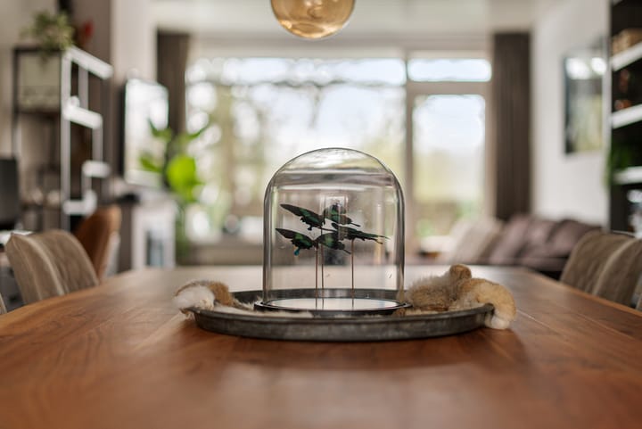 Photo 20 of Vogelwikke 91