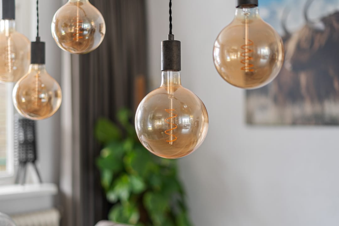 Photo 22 of Vogelwikke 91