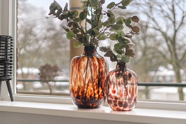 Photo 13 of Vogelwikke 91