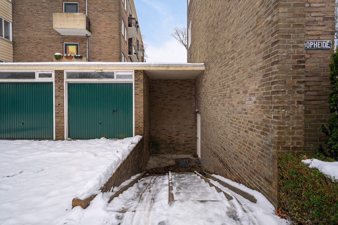 Photo 47 of Vogelwikke 91