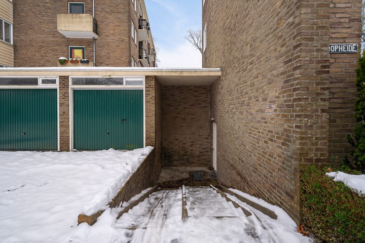 Photo 47 of Vogelwikke 91