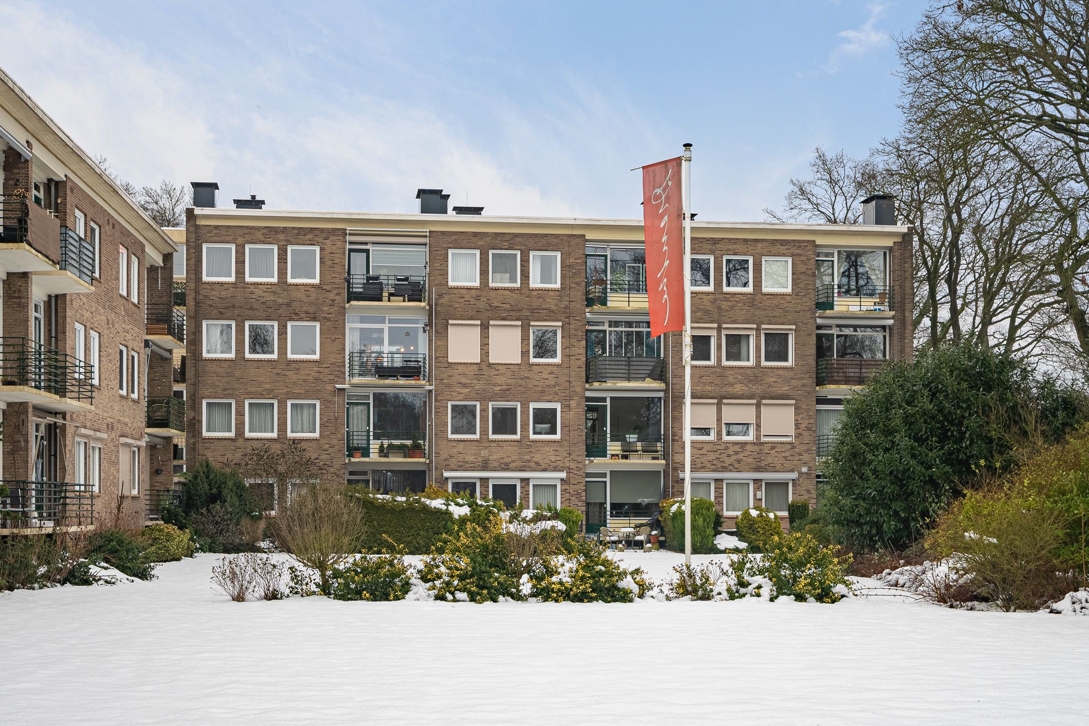 Photo 48 of Vogelwikke 91