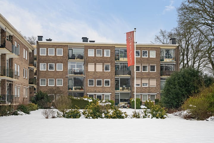 Photo 48 of Vogelwikke 91