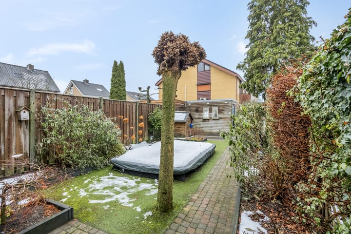 Foto 31 van Nachtpauwooglaan 49