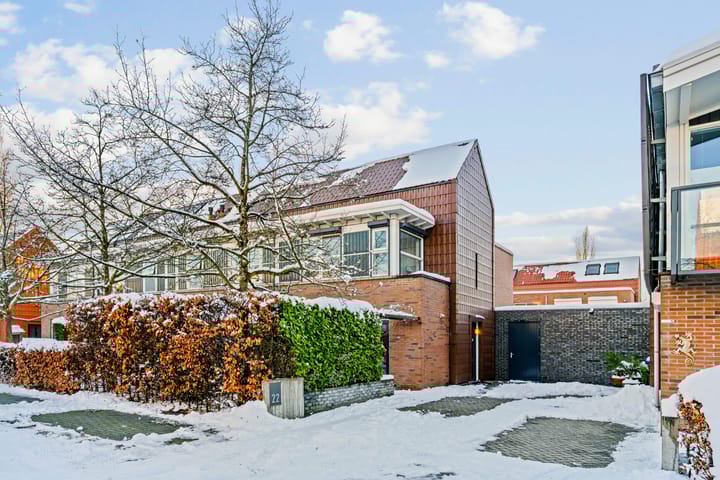 Photo 1 of Pijlstaartvlinder 22