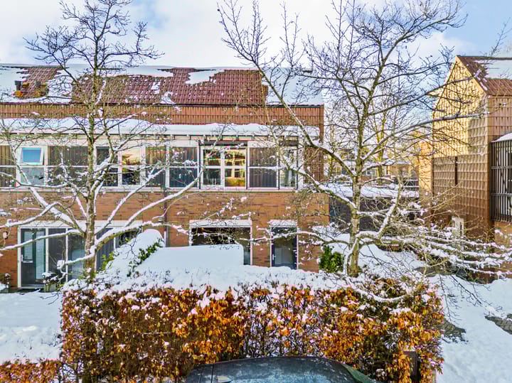 Foto 2 van Pijlstaartvlinder 22