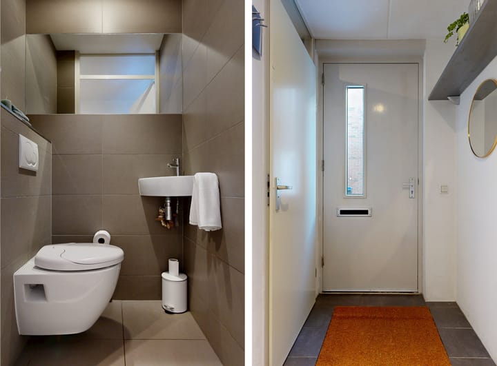 Photo 19 of Pijlstaartvlinder 22