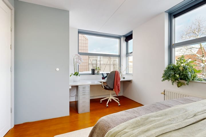 Photo 22 of Pijlstaartvlinder 22