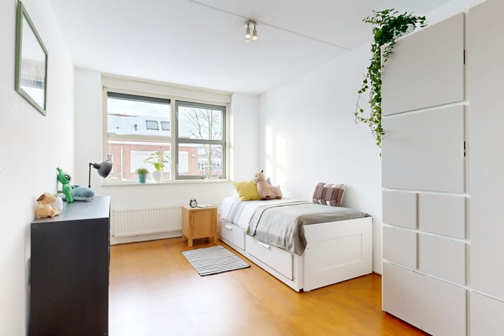 Photo 23 of Pijlstaartvlinder 22