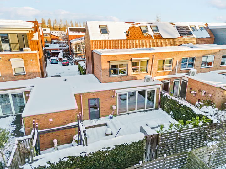 Photo 29 of Pijlstaartvlinder 22