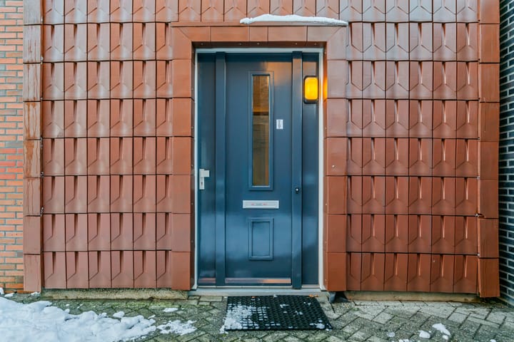 Photo 8 of Pijlstaartvlinder 22