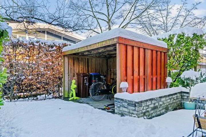 Photo 41 of Pijlstaartvlinder 22