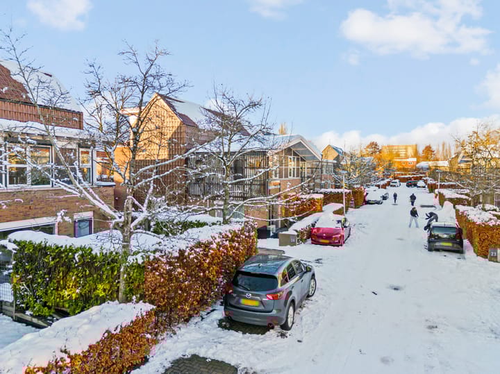 Photo 45 of Pijlstaartvlinder 22