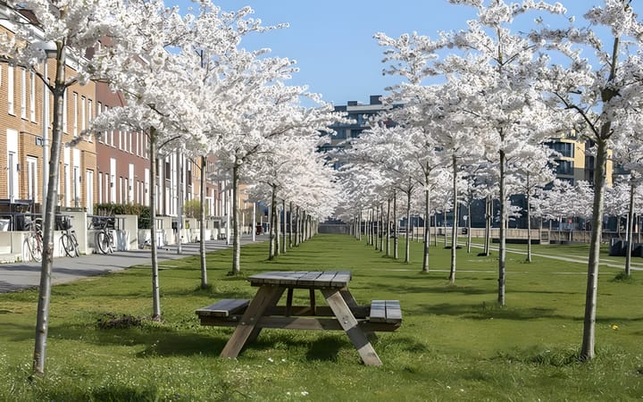 Photo 48 of Pijlstaartvlinder 22