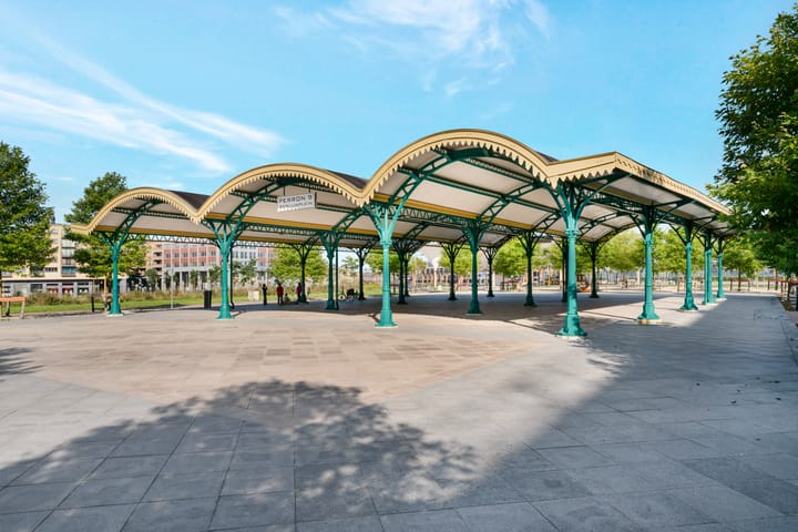 Photo 49 of Pijlstaartvlinder 22