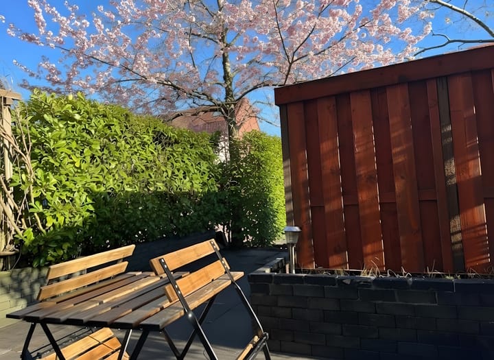 Photo 36 of Pijlstaartvlinder 22