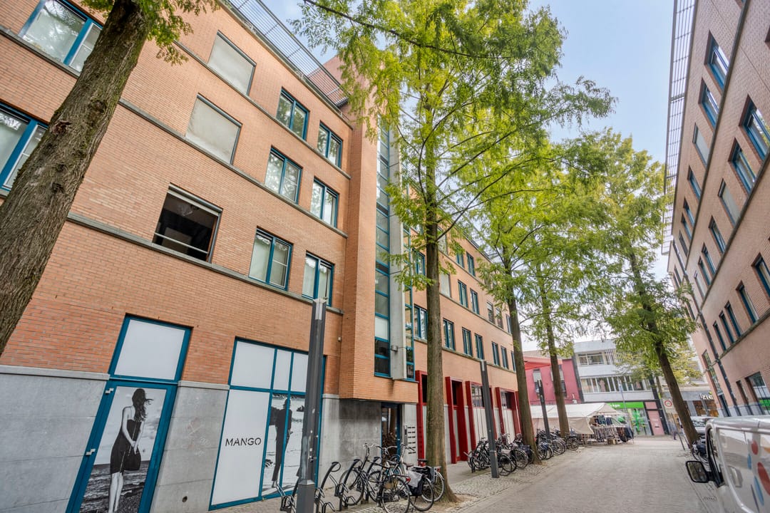 Foto 31 van Van der Maesenstraat 6