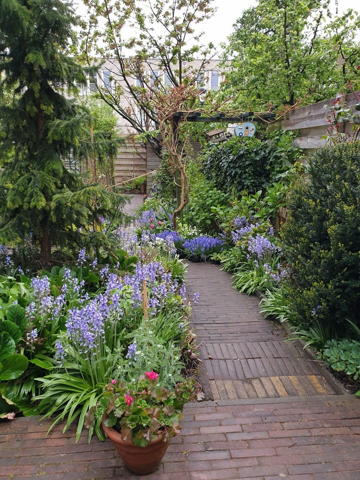 Foto 17 van Saenredamstraat 110