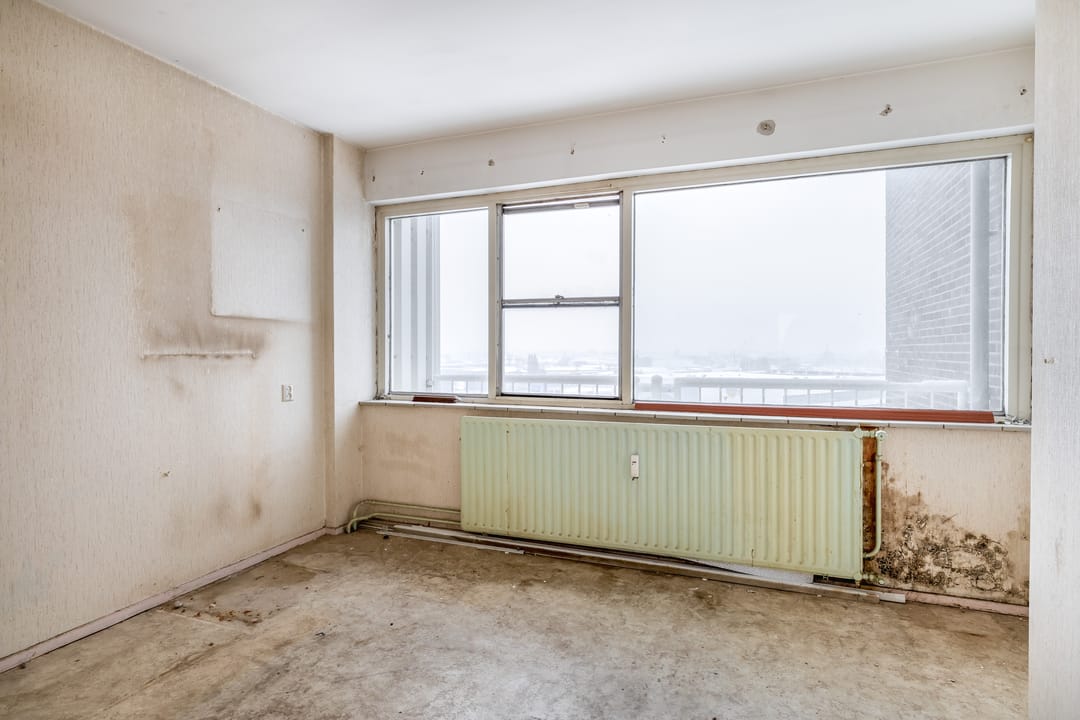 Photo 23 of Louis Raemaekersstraat 301