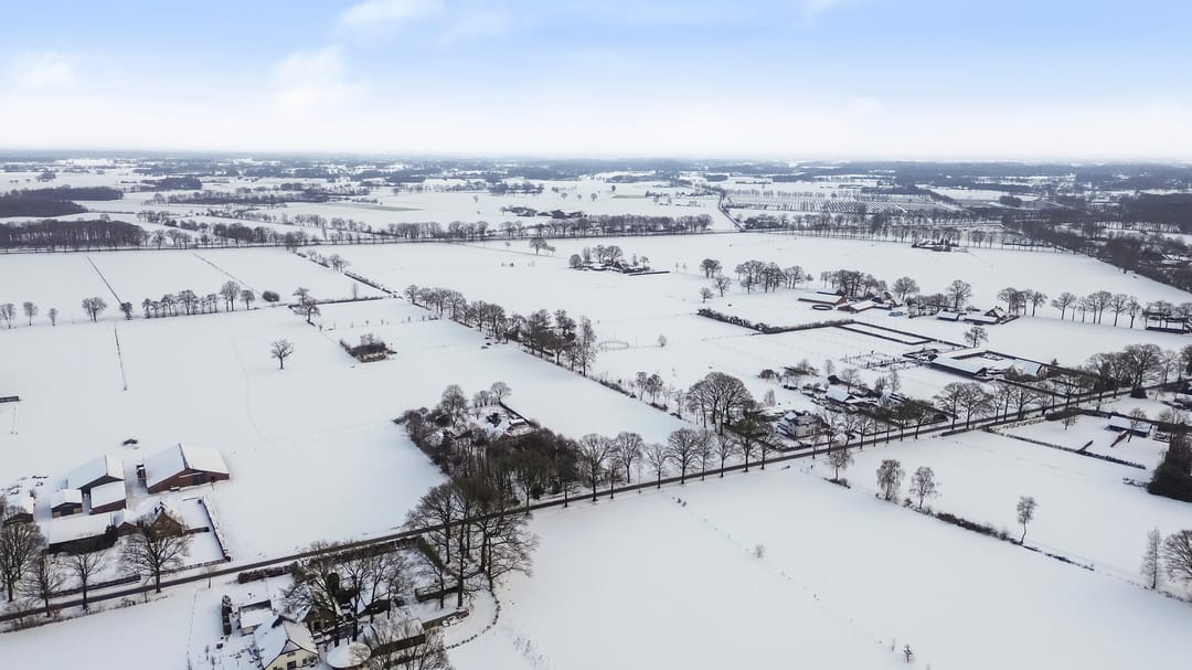 Foto 46 van Honingraat 39