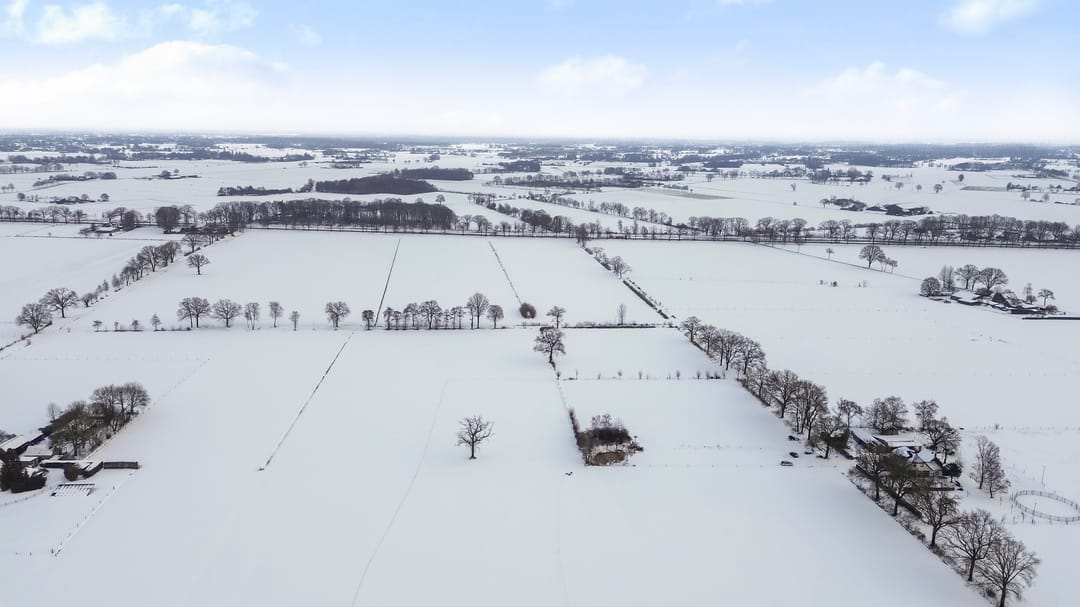 Foto 47 van Honingraat 39