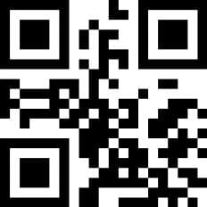 Photo 13 of Niasstraat 277