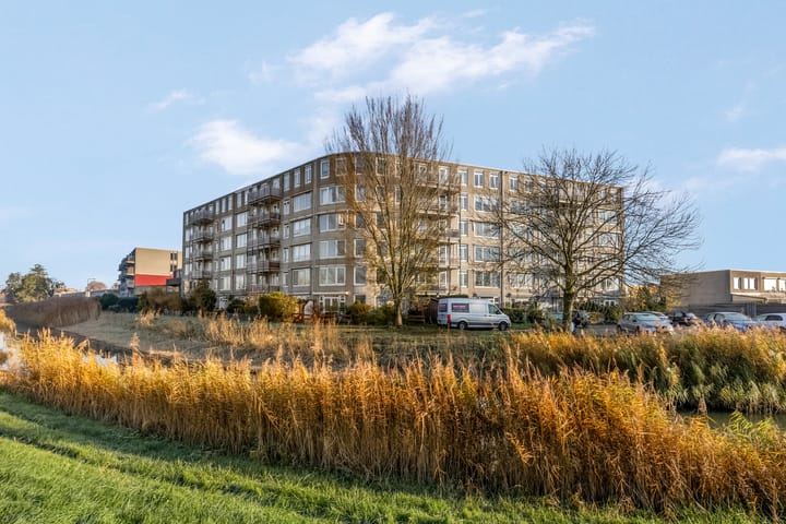 Foto 25 van Otis Reddingplein 157